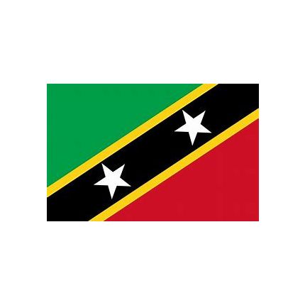 BANDERA KITTS & NEVIS 45X35