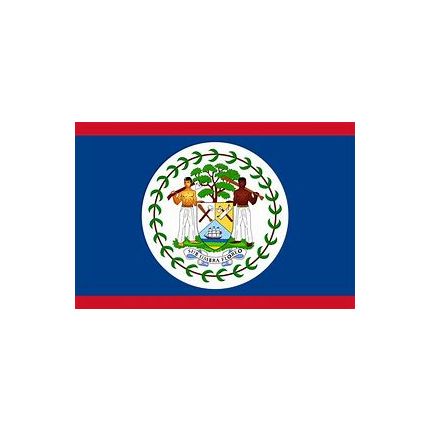 BANDERA BELICE 45X35