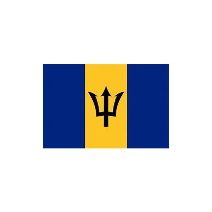 BANDERA BARBADOS 45X35