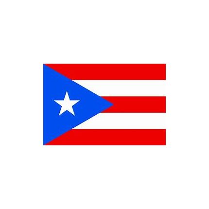 BANDERA PUERTO RICO 45X35